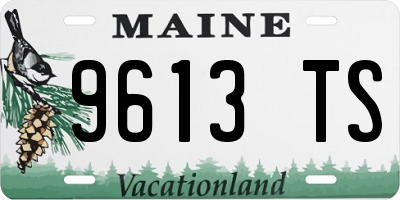 ME license plate 9613TS