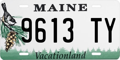 ME license plate 9613TY
