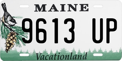 ME license plate 9613UP