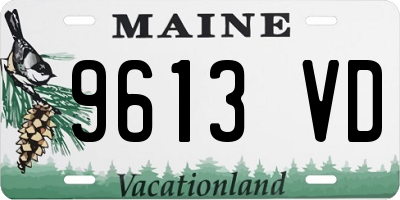 ME license plate 9613VD
