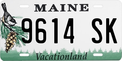 ME license plate 9614SK