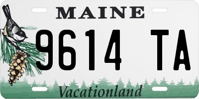 ME license plate 9614TA