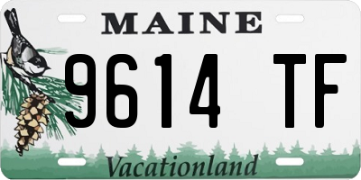 ME license plate 9614TF