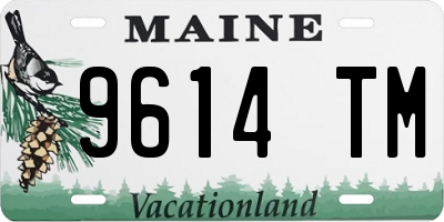 ME license plate 9614TM