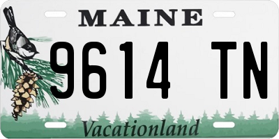 ME license plate 9614TN