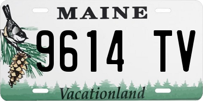 ME license plate 9614TV