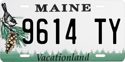 ME license plate 9614TY