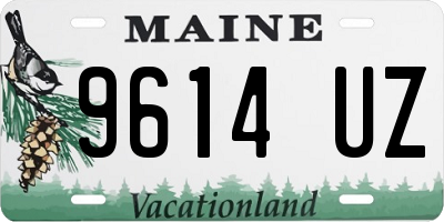 ME license plate 9614UZ