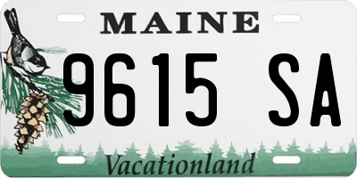 ME license plate 9615SA