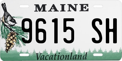 ME license plate 9615SH