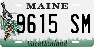 ME license plate 9615SM