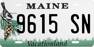 ME license plate 9615SN