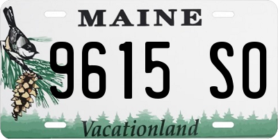 ME license plate 9615SO