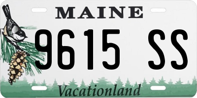 ME license plate 9615SS