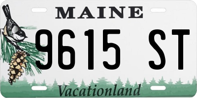 ME license plate 9615ST
