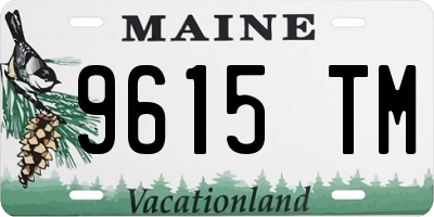ME license plate 9615TM