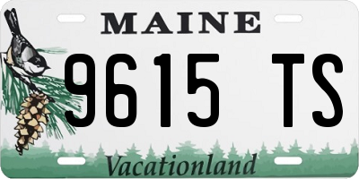 ME license plate 9615TS