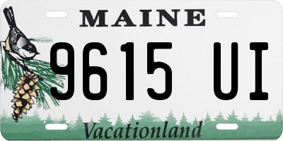 ME license plate 9615UI