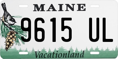 ME license plate 9615UL