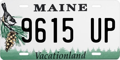 ME license plate 9615UP
