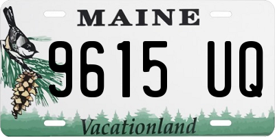 ME license plate 9615UQ