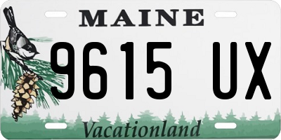 ME license plate 9615UX