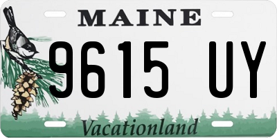 ME license plate 9615UY