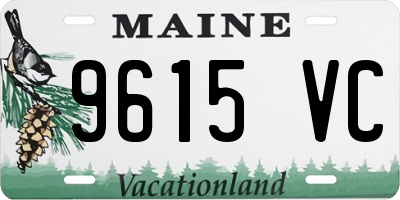 ME license plate 9615VC