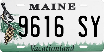 ME license plate 9616SY