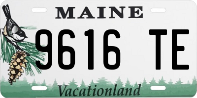 ME license plate 9616TE