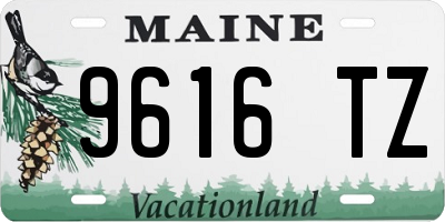 ME license plate 9616TZ