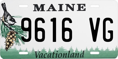 ME license plate 9616VG