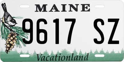 ME license plate 9617SZ