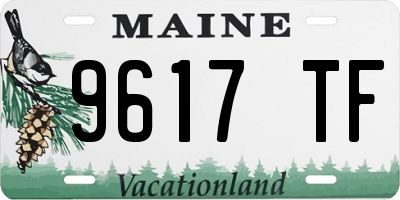 ME license plate 9617TF