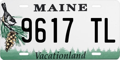 ME license plate 9617TL