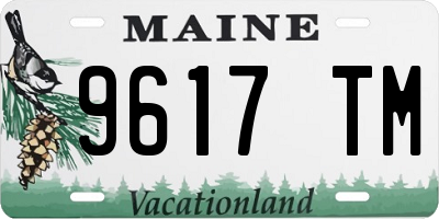 ME license plate 9617TM