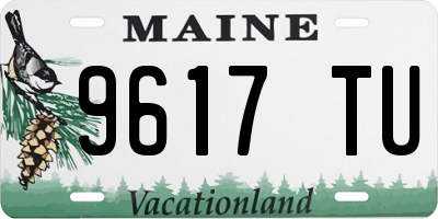 ME license plate 9617TU