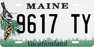 ME license plate 9617TY