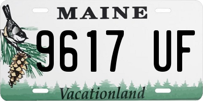 ME license plate 9617UF