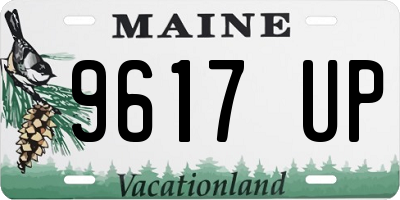 ME license plate 9617UP