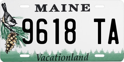 ME license plate 9618TA