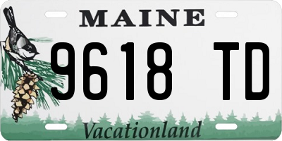 ME license plate 9618TD