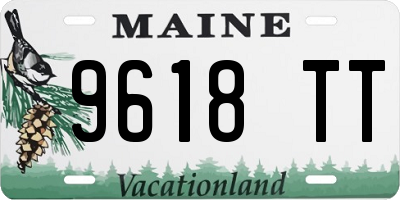 ME license plate 9618TT
