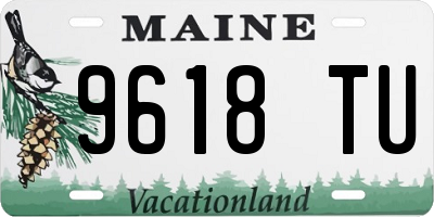 ME license plate 9618TU