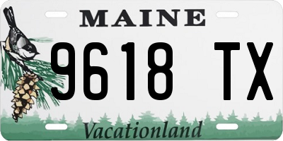 ME license plate 9618TX