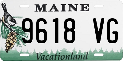 ME license plate 9618VG