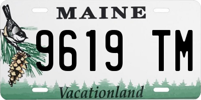 ME license plate 9619TM
