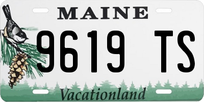 ME license plate 9619TS