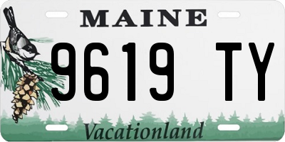 ME license plate 9619TY