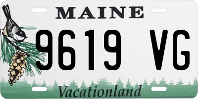 ME license plate 9619VG